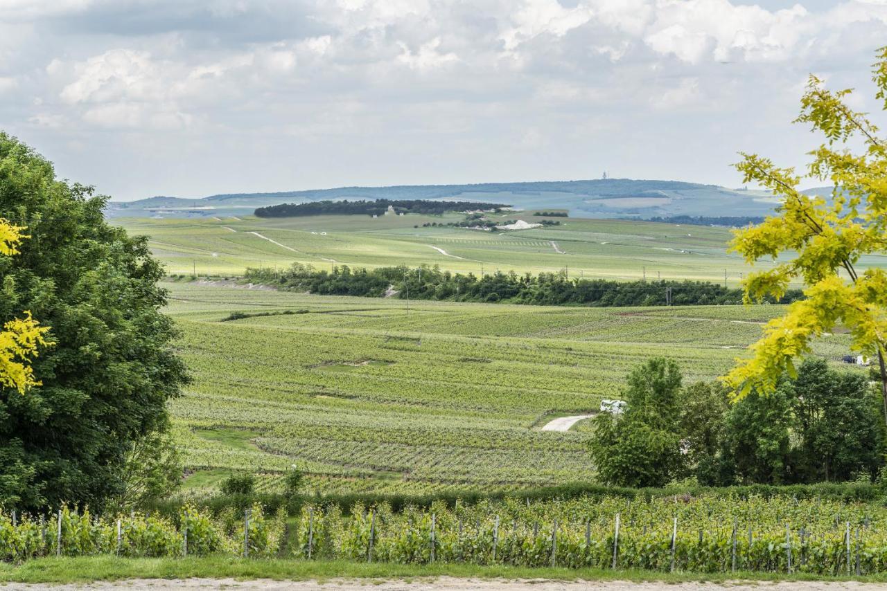 Вілла Gite Rilly-La-Montagne Екстер'єр фото